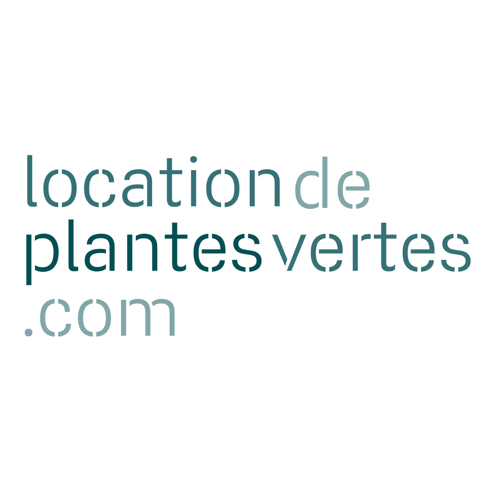 Location de plantes vertes